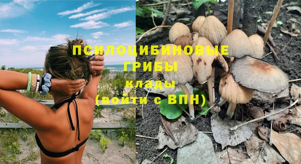 кокс Абинск