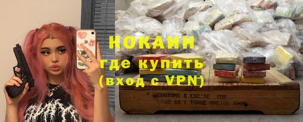 дживик Абаза