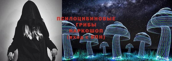 дживик Абаза