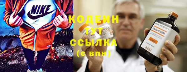 дживик Абаза